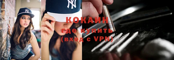 тгк Алзамай
