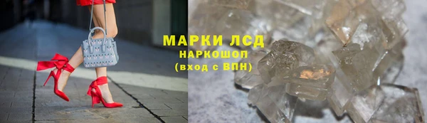 тгк Алзамай