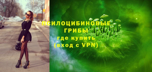 тгк Алзамай